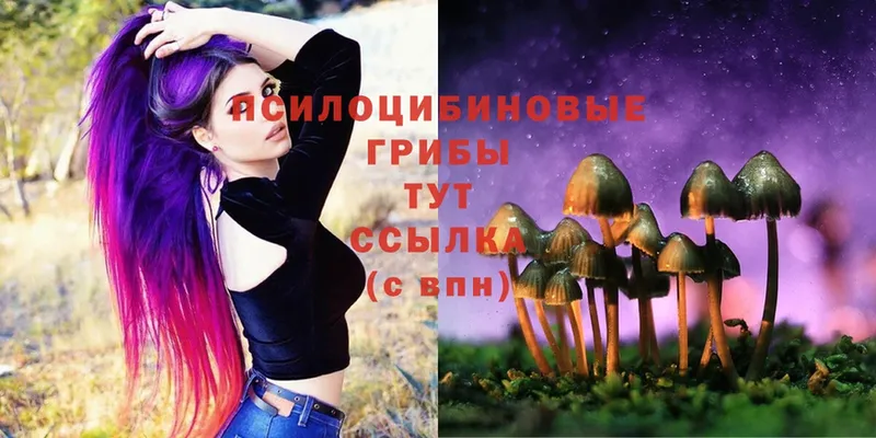 Псилоцибиновые грибы Magic Shrooms Карачев