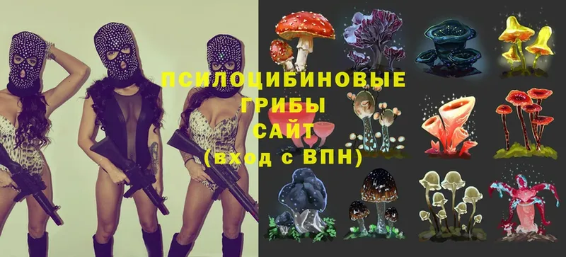 Галлюциногенные грибы MAGIC MUSHROOMS  где найти наркотики  Карачев 